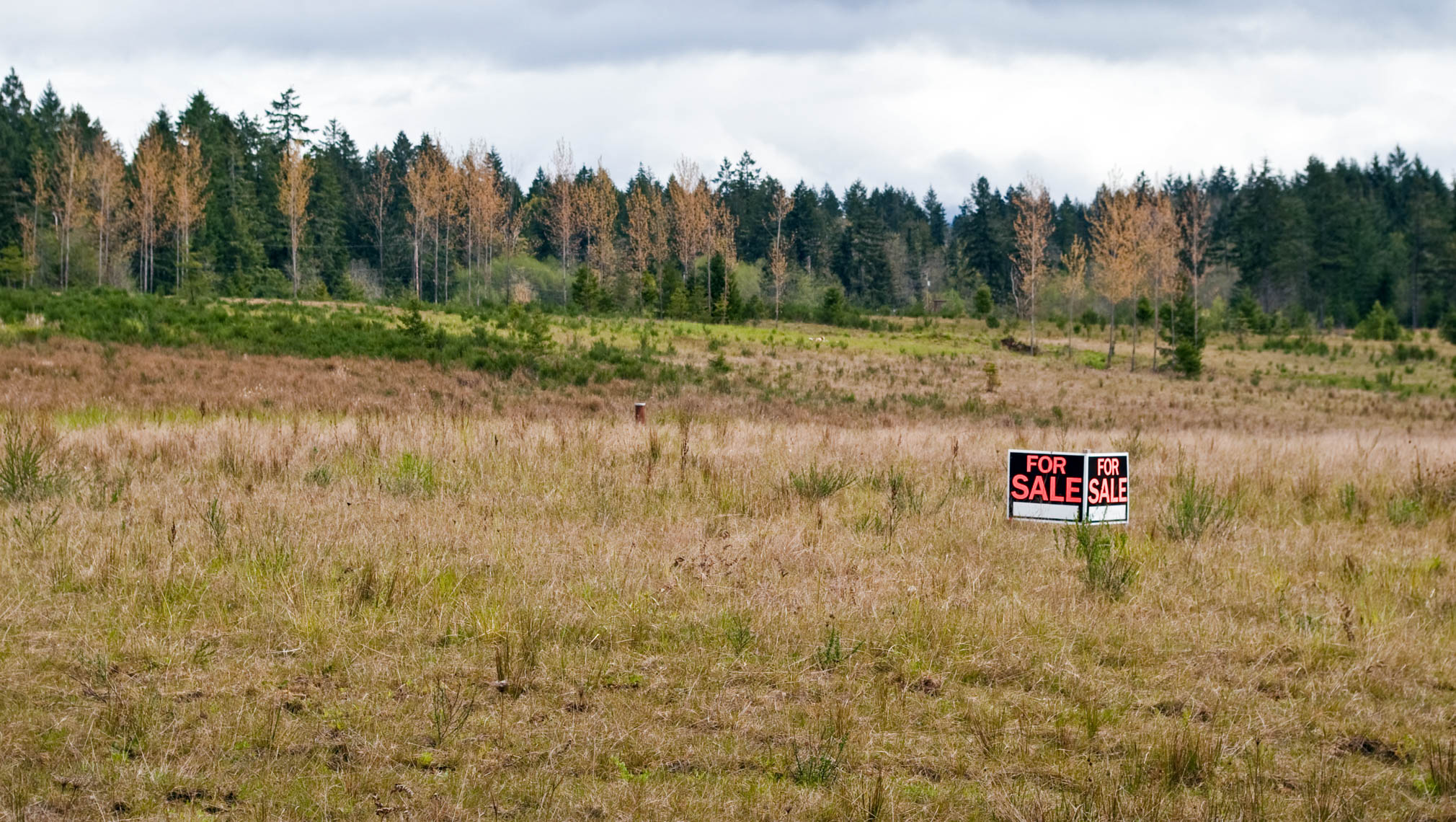 Alternative to traditional home buying: Purchasing a plot of land