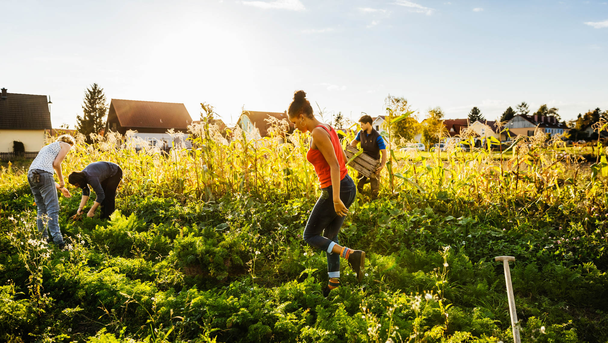 Alternatives to buying a house the traditional way: A community land trust