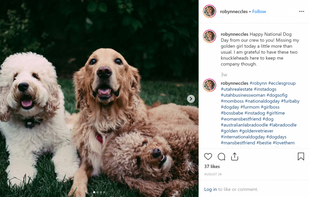 A post with a picture of dogs to relate to clients with pets when using Instagram for real estate.