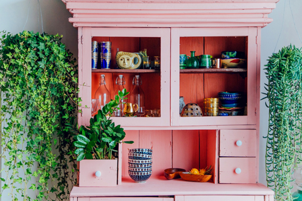 pink cabinet in kitchen with plants