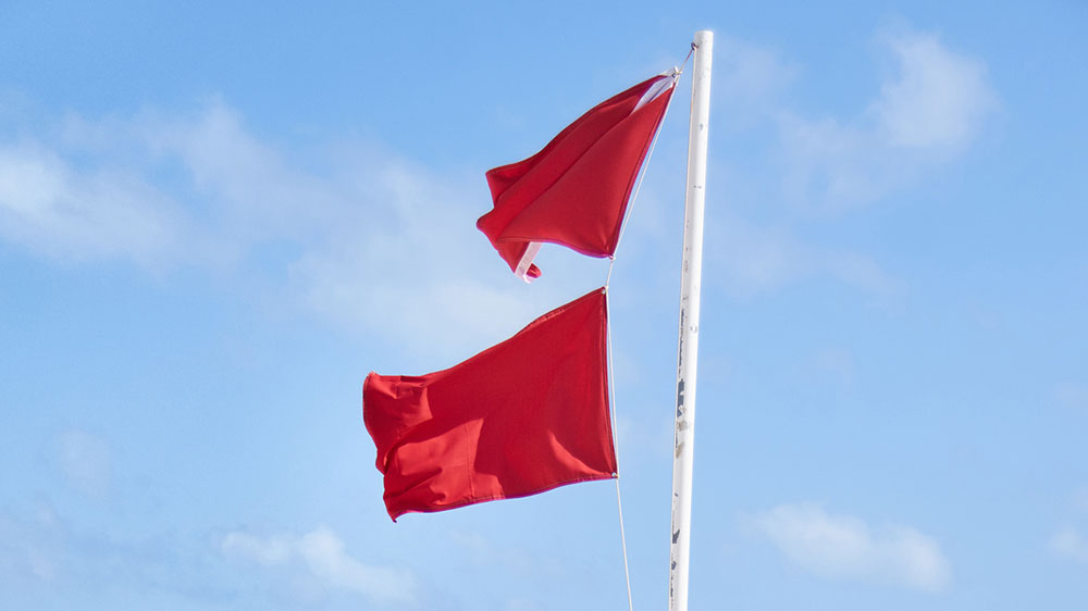 red flags disclosure statement
