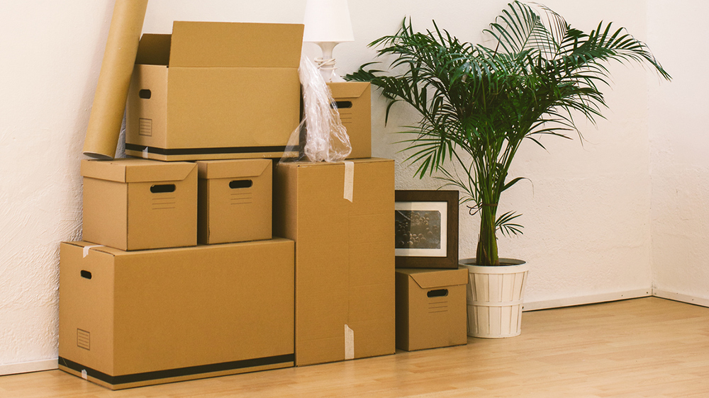 temporary storage solutions boxes