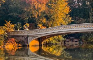 an_uptown_girl - central park with fall leaves and bridge