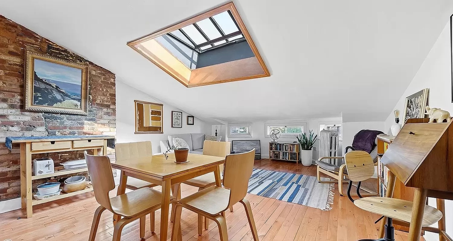 park slope 1 bedroom - living room with skylight