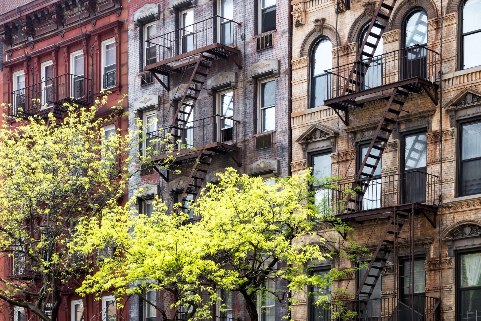 NYC Rental Network What It Means for Agents StreetEasy