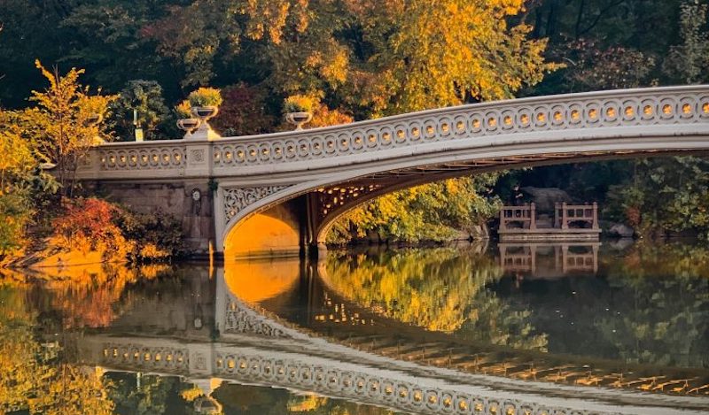 an_uptown_girl - streeteasy finds featured image - central park in fall