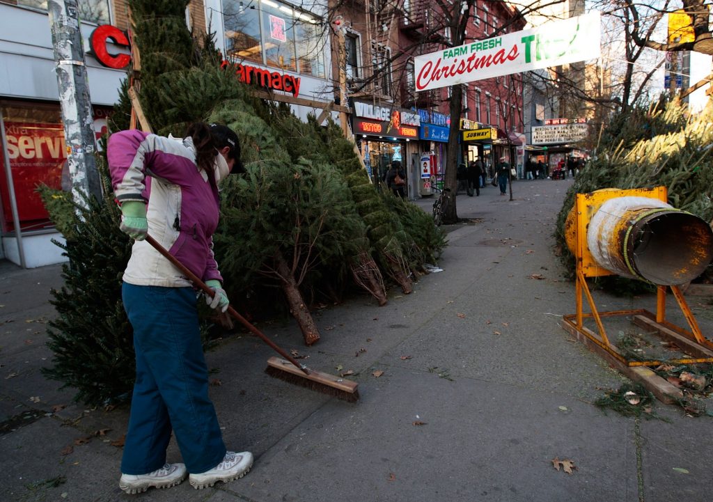 Where to Buy a Christmas Tree in NYC StreetEasy