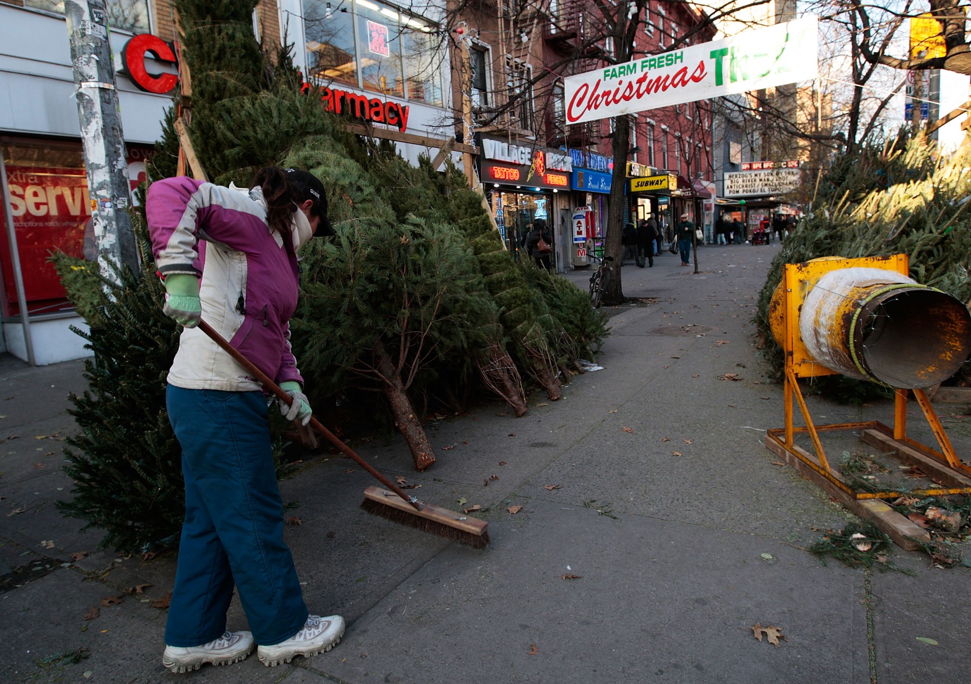 Where to Buy a Christmas Tree in NYC StreetEasy