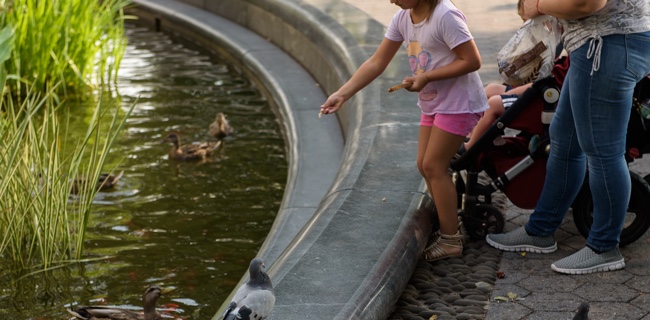 girl with ducks in Battery Park City