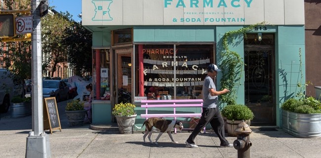 carroll gardens dog and man outside of farmacy