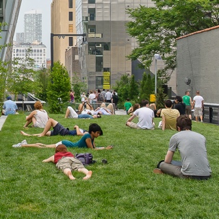 High Line Lawns public space