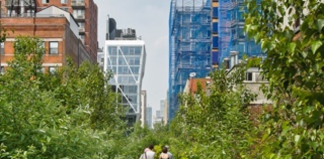 Chelsea High Line Walk