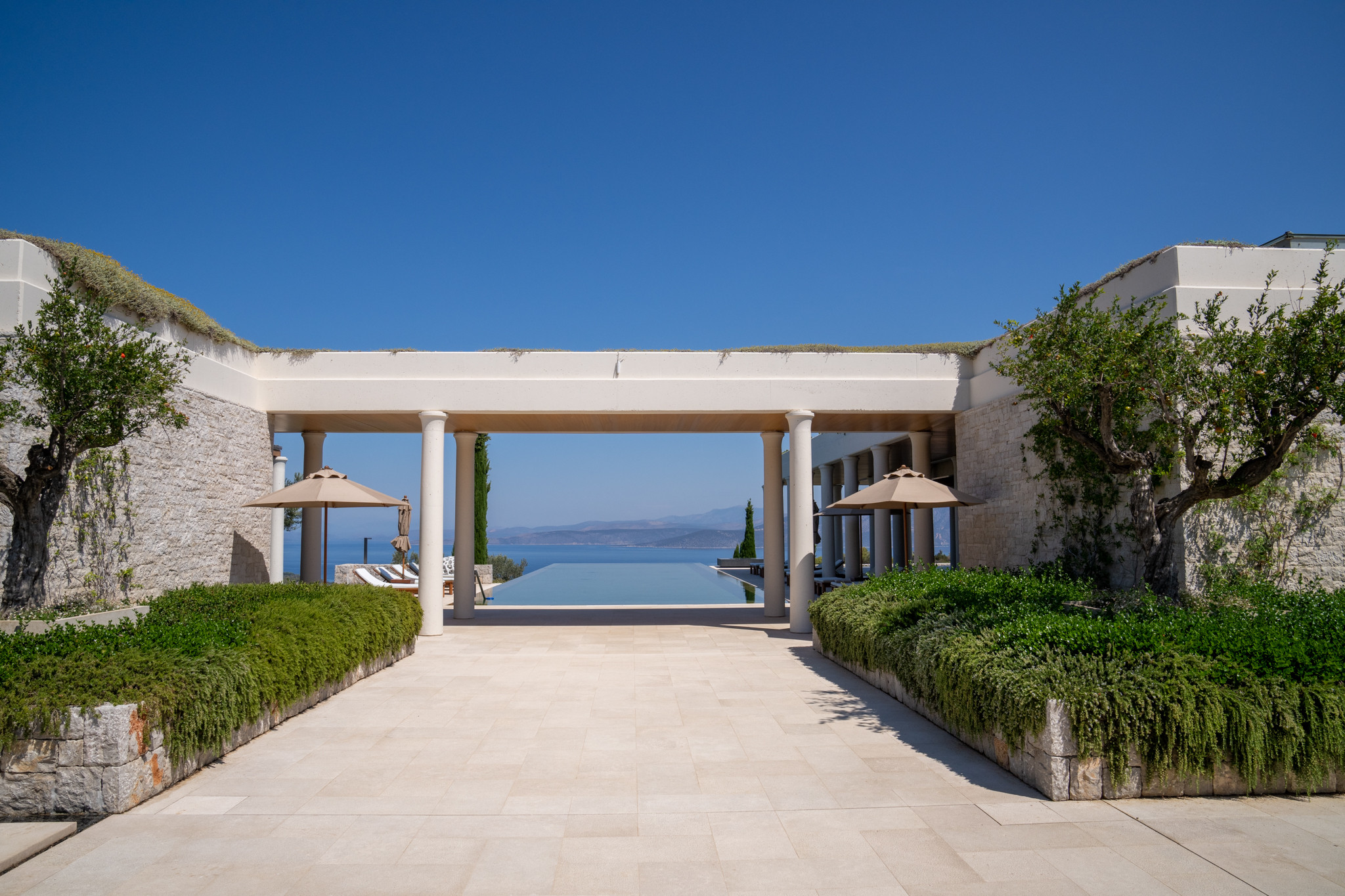 Knives Out Glass Onion