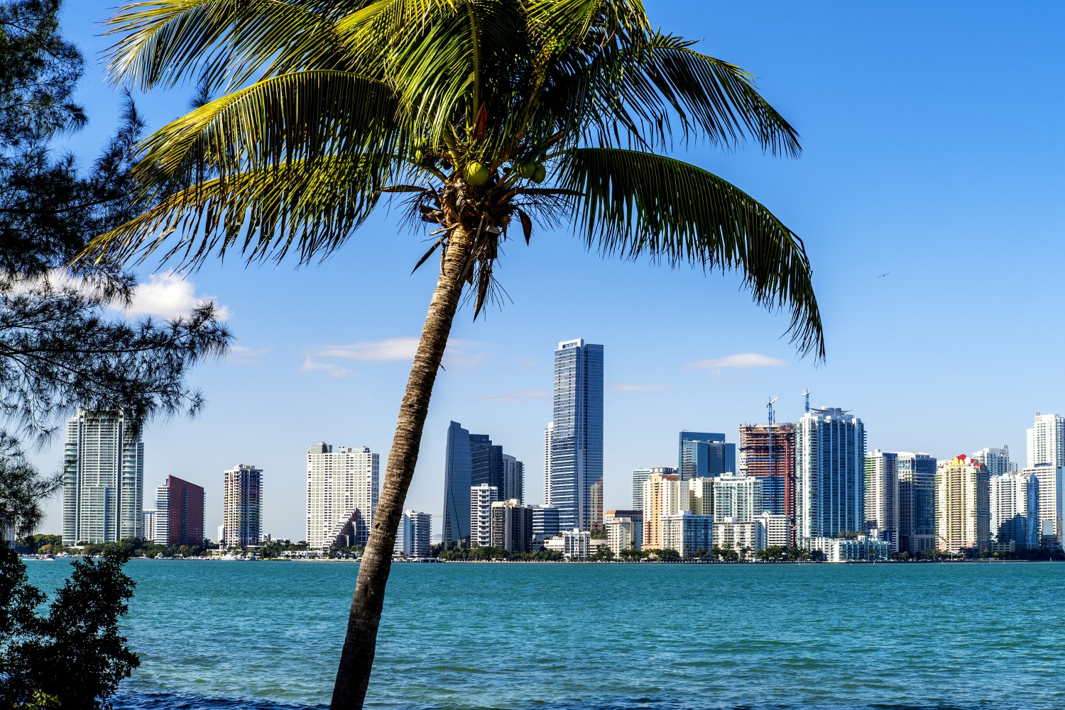 how-much-do-miami-residents-need-to-earn-every-year-to-afford-rent