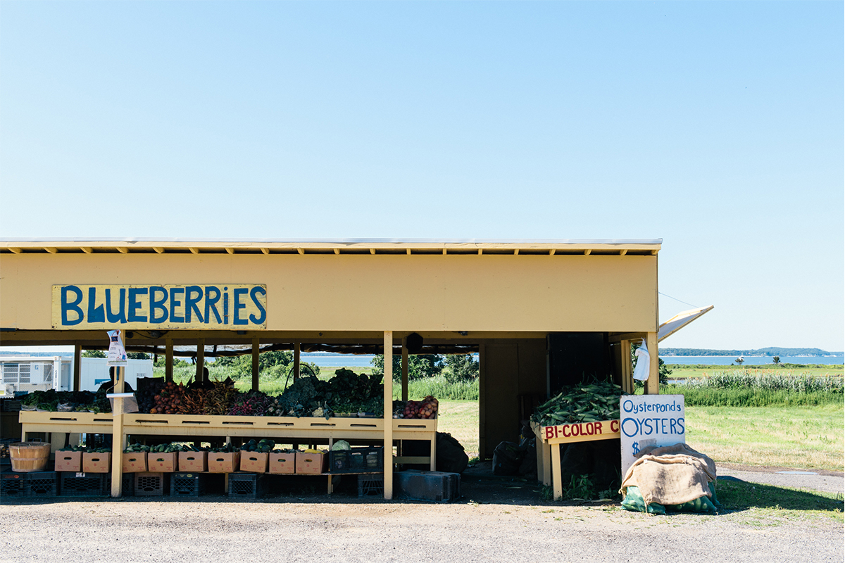 image of blueberry stand on north fork of long island