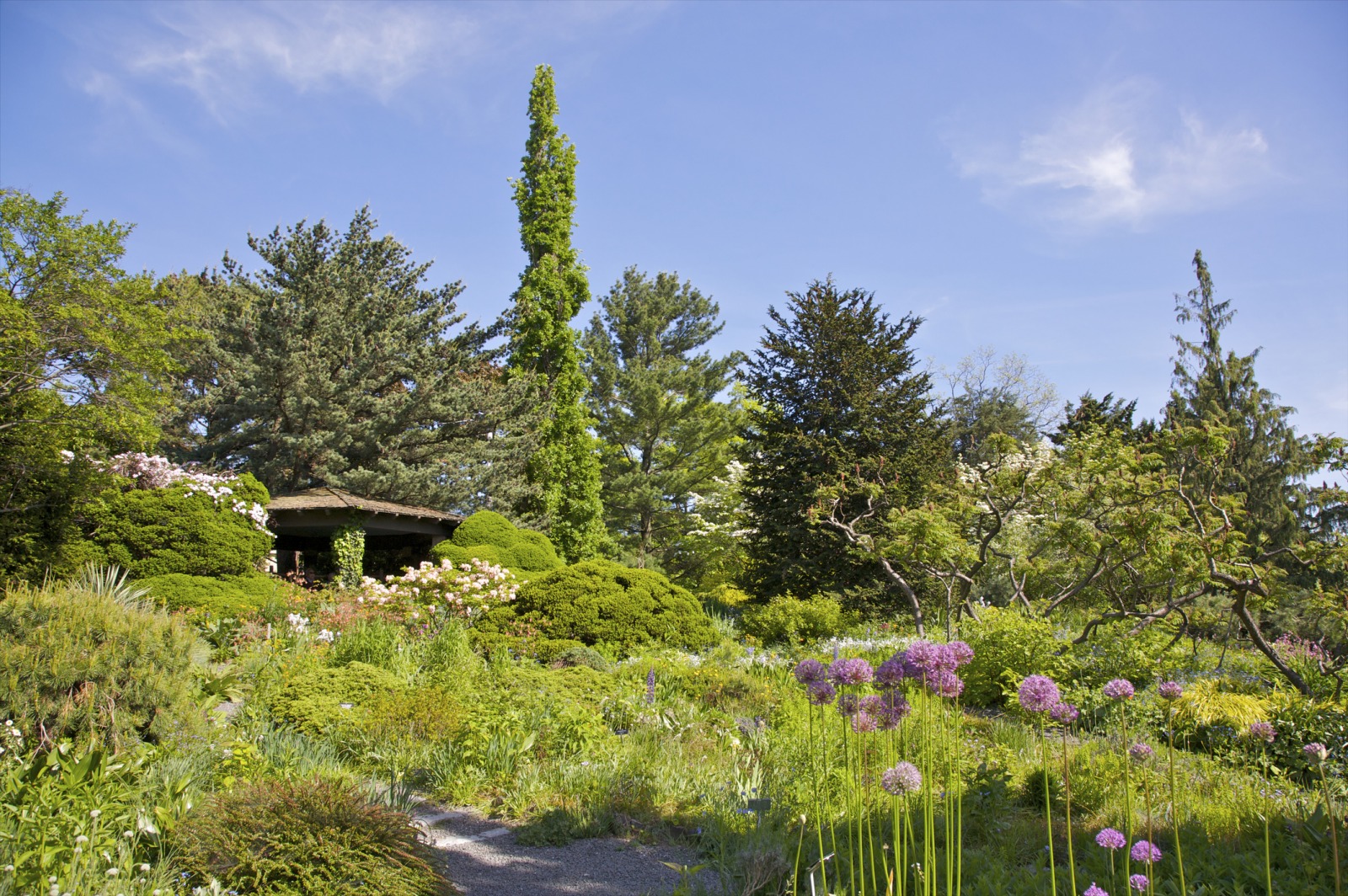 lush greenery in Wave Hill Garden in Riverdale, Bronx