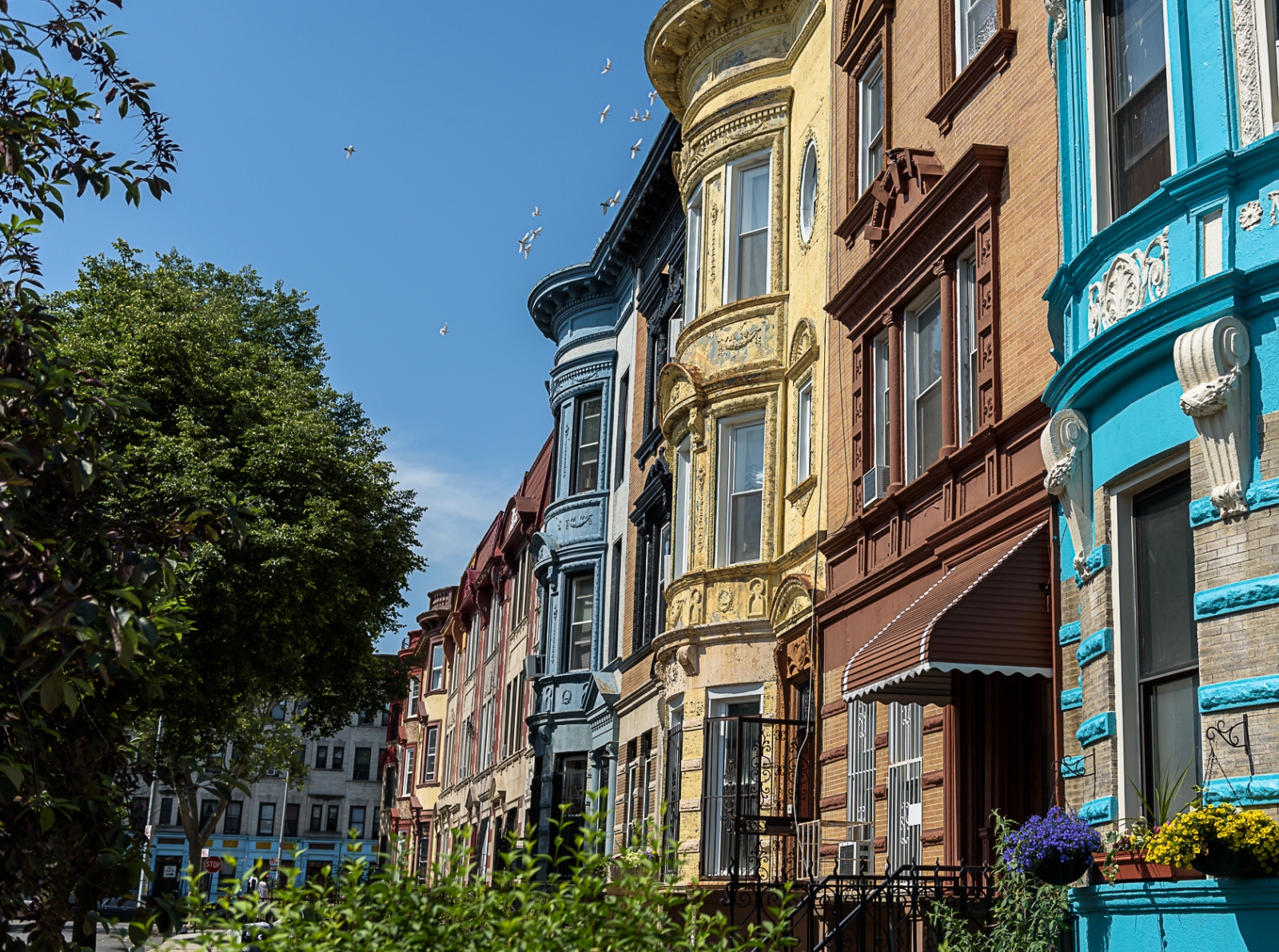 The 6 Best Brooklyn Neighborhoods On A Budget Streeteasy