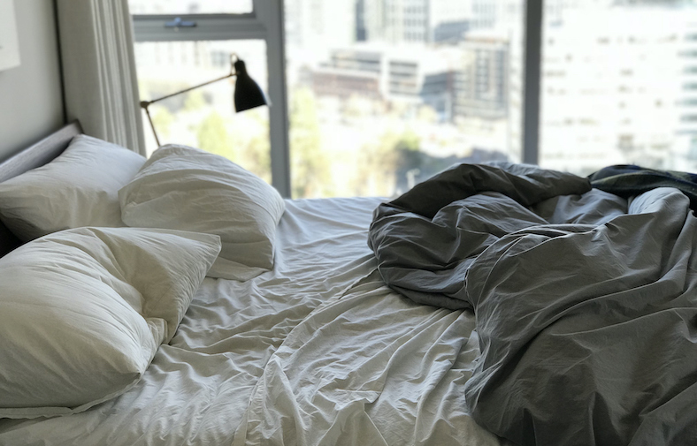 Bed Bugs in NYC: How to Recognize and Get Rid of Them | StreetEasy