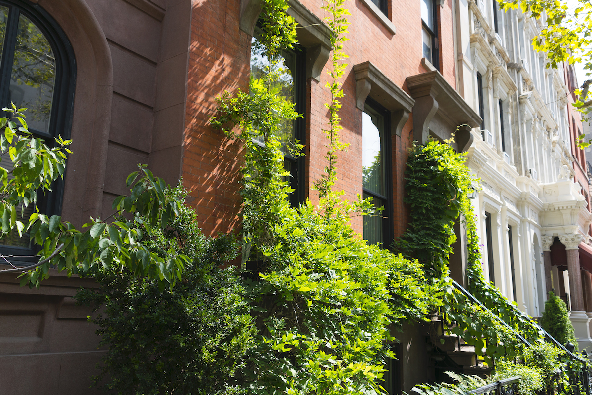 Gramercy Park Townhouse