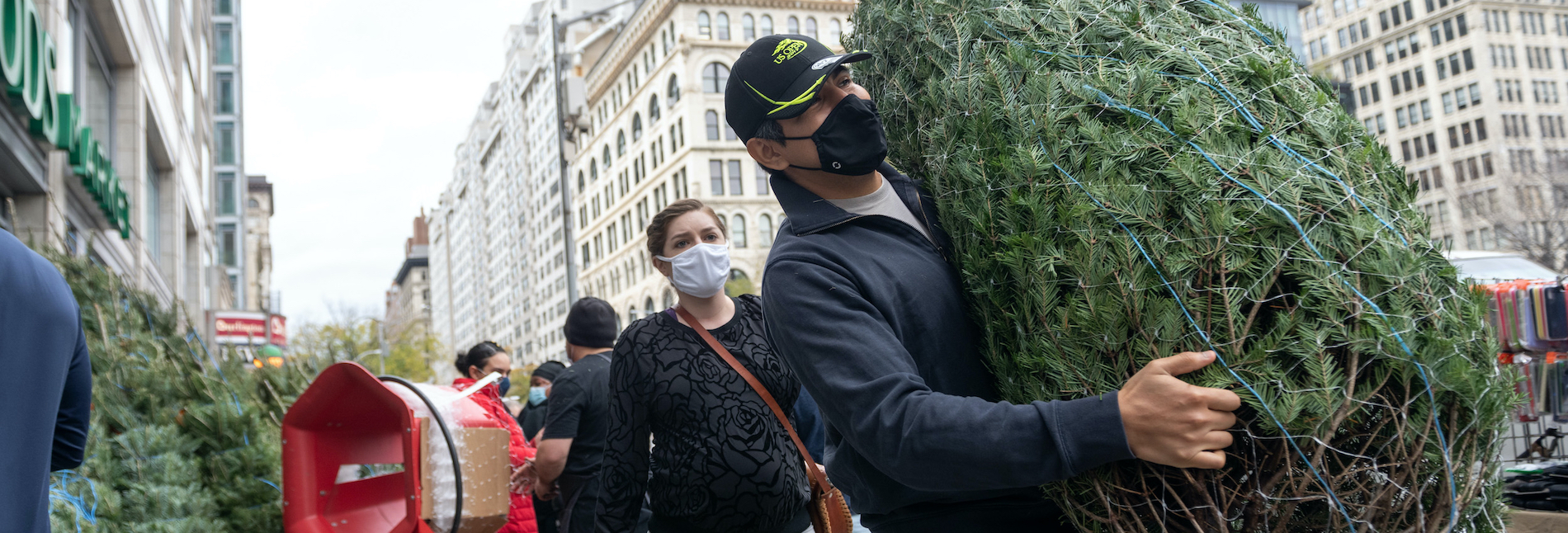 Best nyc christmas tree delivery
