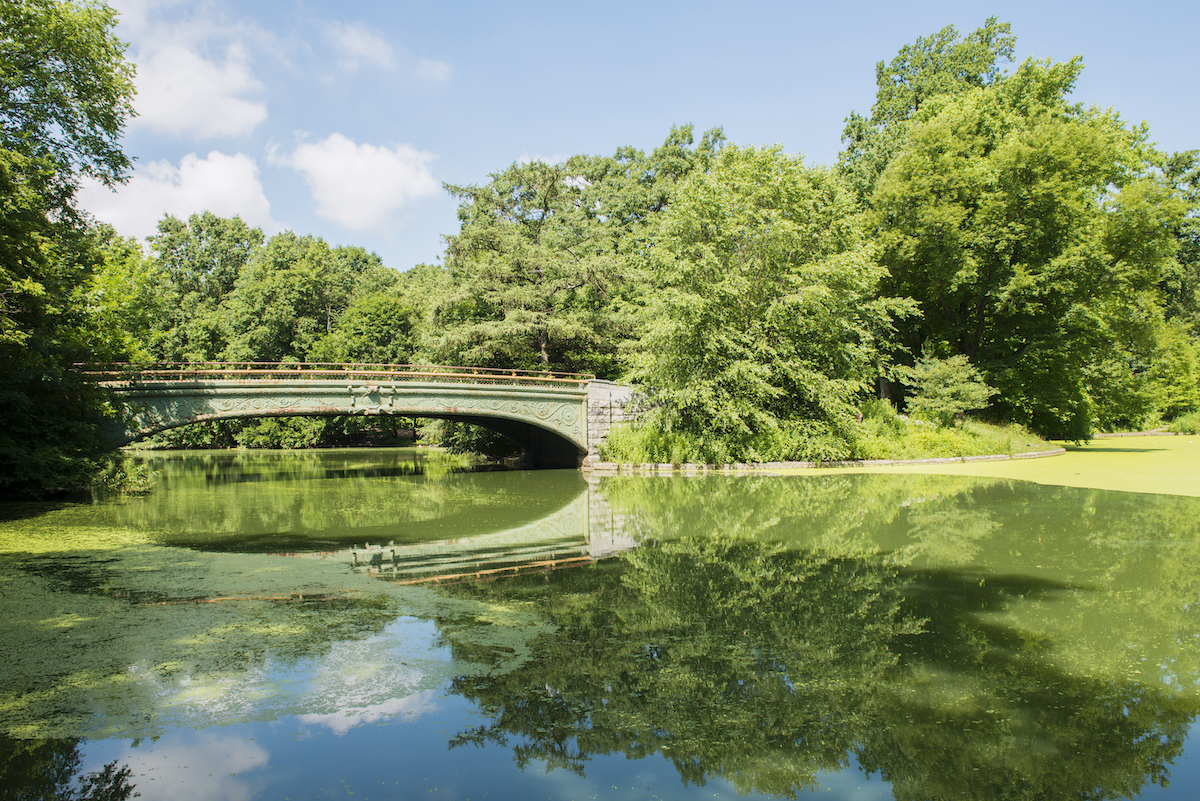 Lullwater Bridge in Prospect Park Brooklyn.