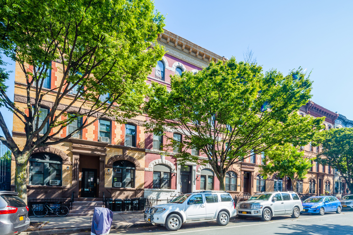 Tree-lined street with residential buildings in Prospect Heights