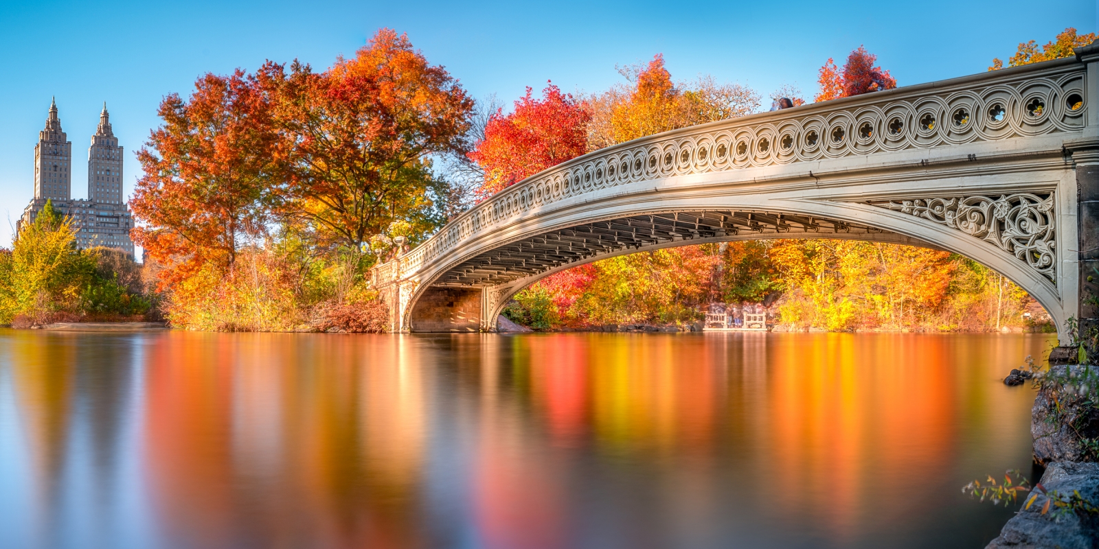 fall foliage nyc - central park