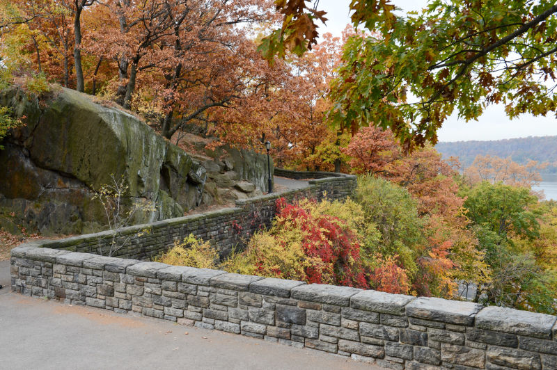 fall foliage nyc - fort tryon park
