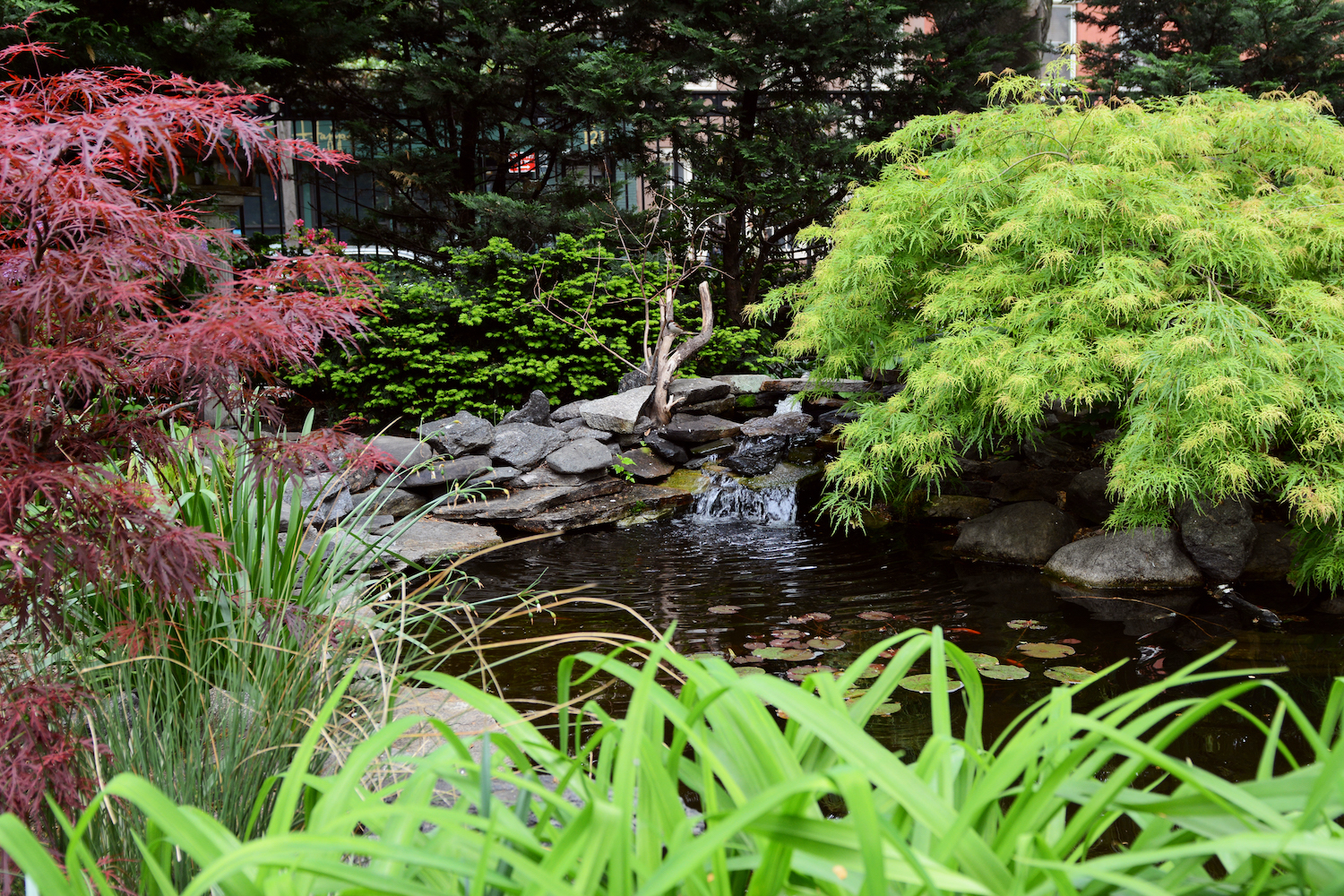 best gardens in NYC Jefferson Market Garden and its lily pond