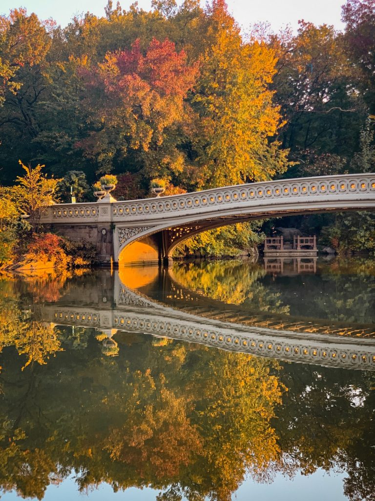 an_uptown_girl - streeteasy finds central park image