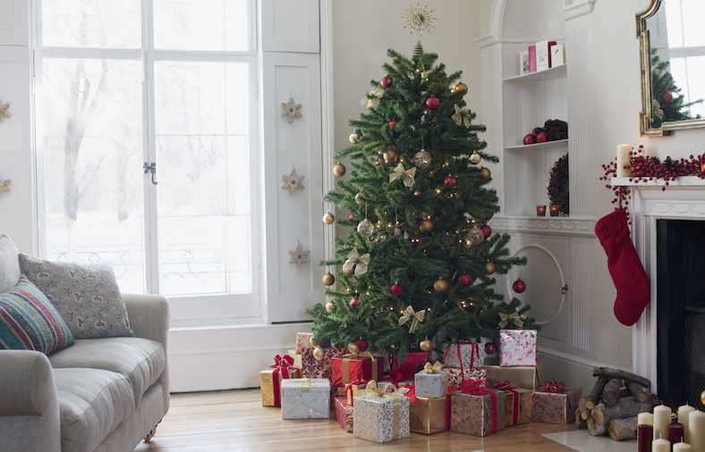 The Best Christmas Trees For Small Spaces Streeteasy